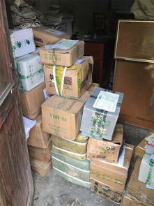 張金寶攜金財咨詢踐行社會責任，共筑鄉村教育未來——記“鄉村學校圖書室手拉手行動”