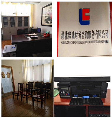 湖北隆誠財務咨詢服務 專業賦能，助力企業穩健發展